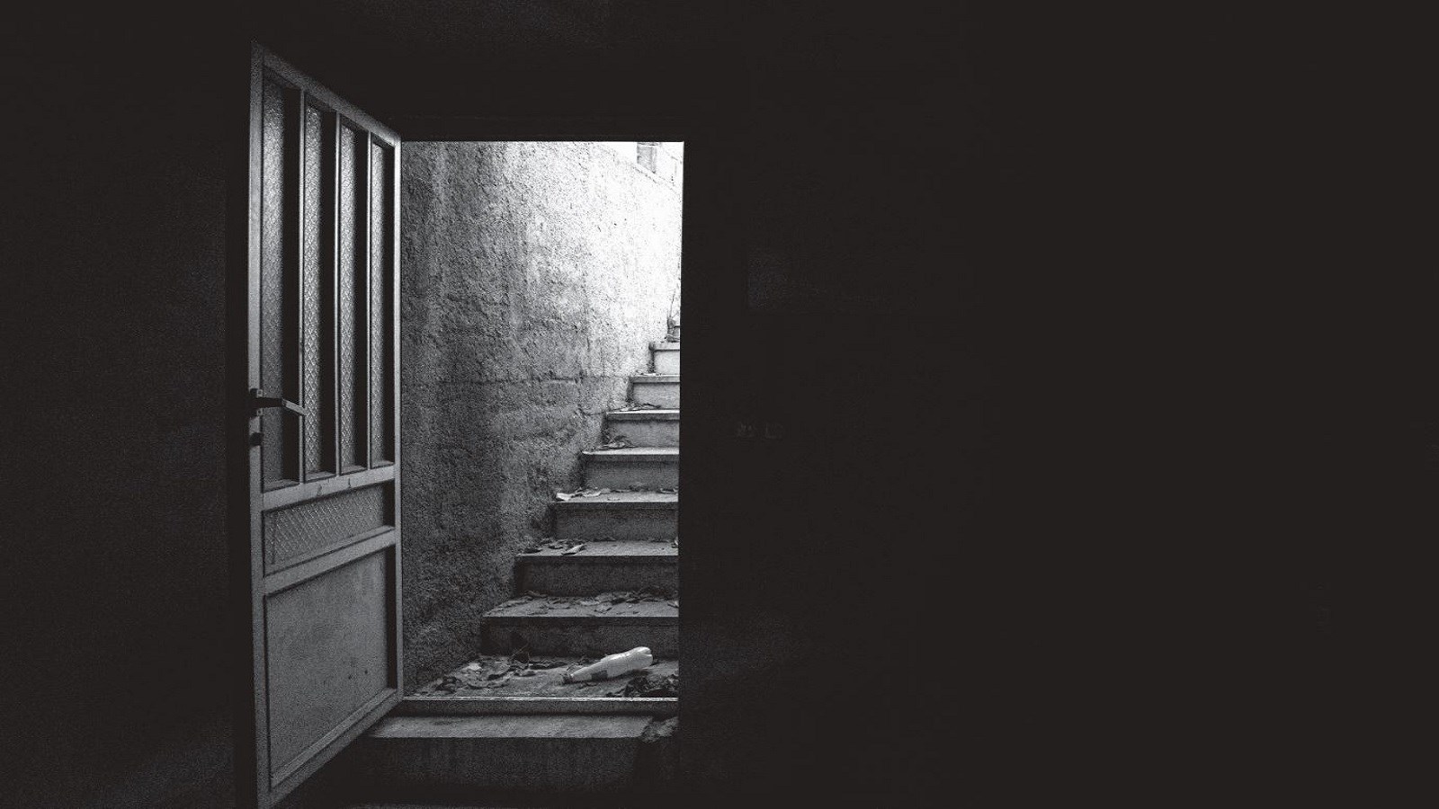 گزارش تولد ناصر