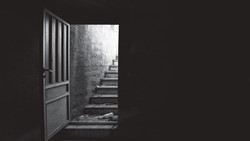 گزارش تولد ناصر