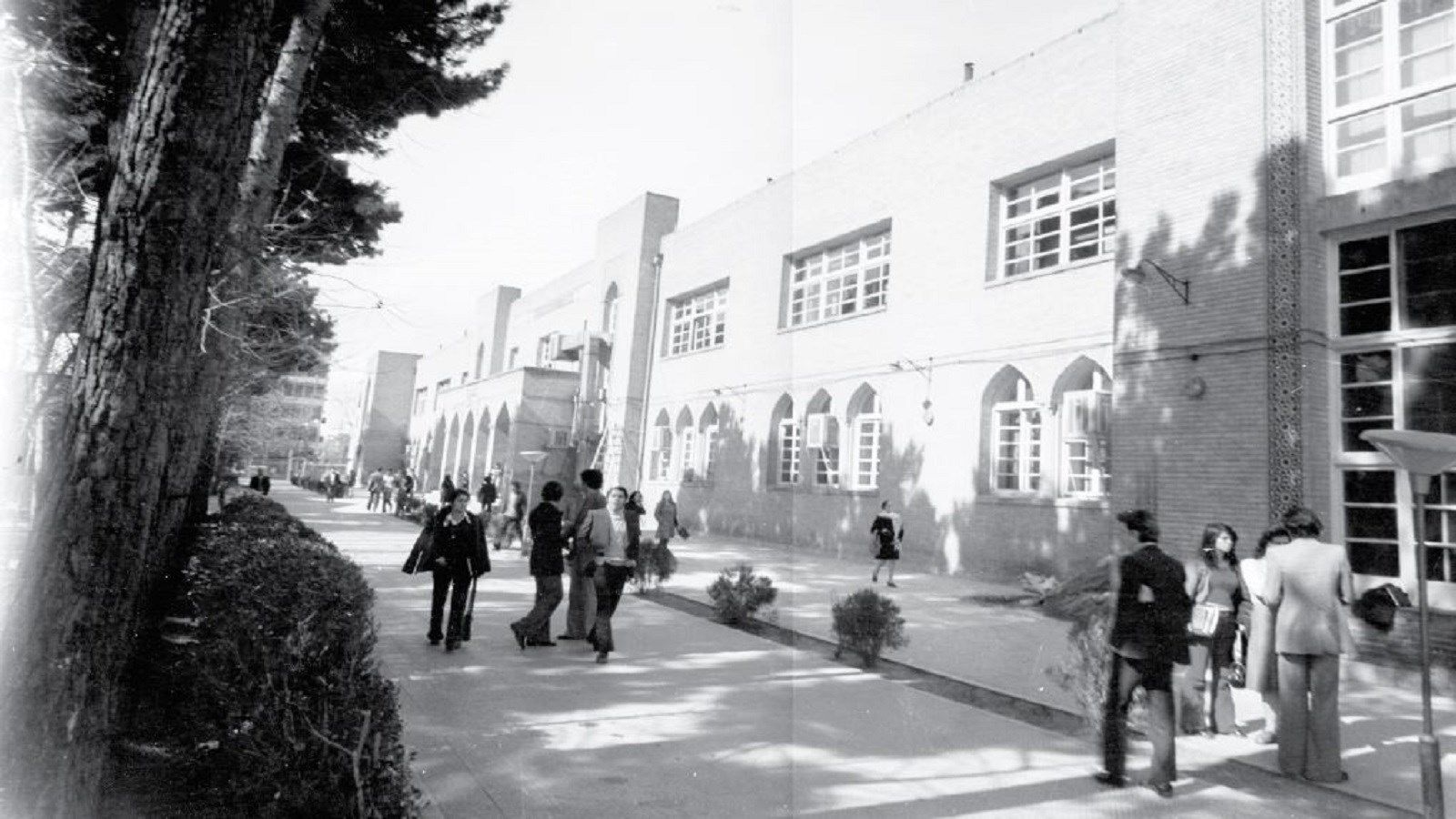 ارواح به‌خواب‌رفتۀ چند نسل دانشگاه