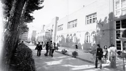 ارواح به‌خواب‌رفتۀ چند نسل دانشگاه