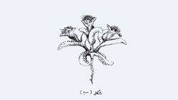 تونل... ببخشید، منظورم خندق بود!