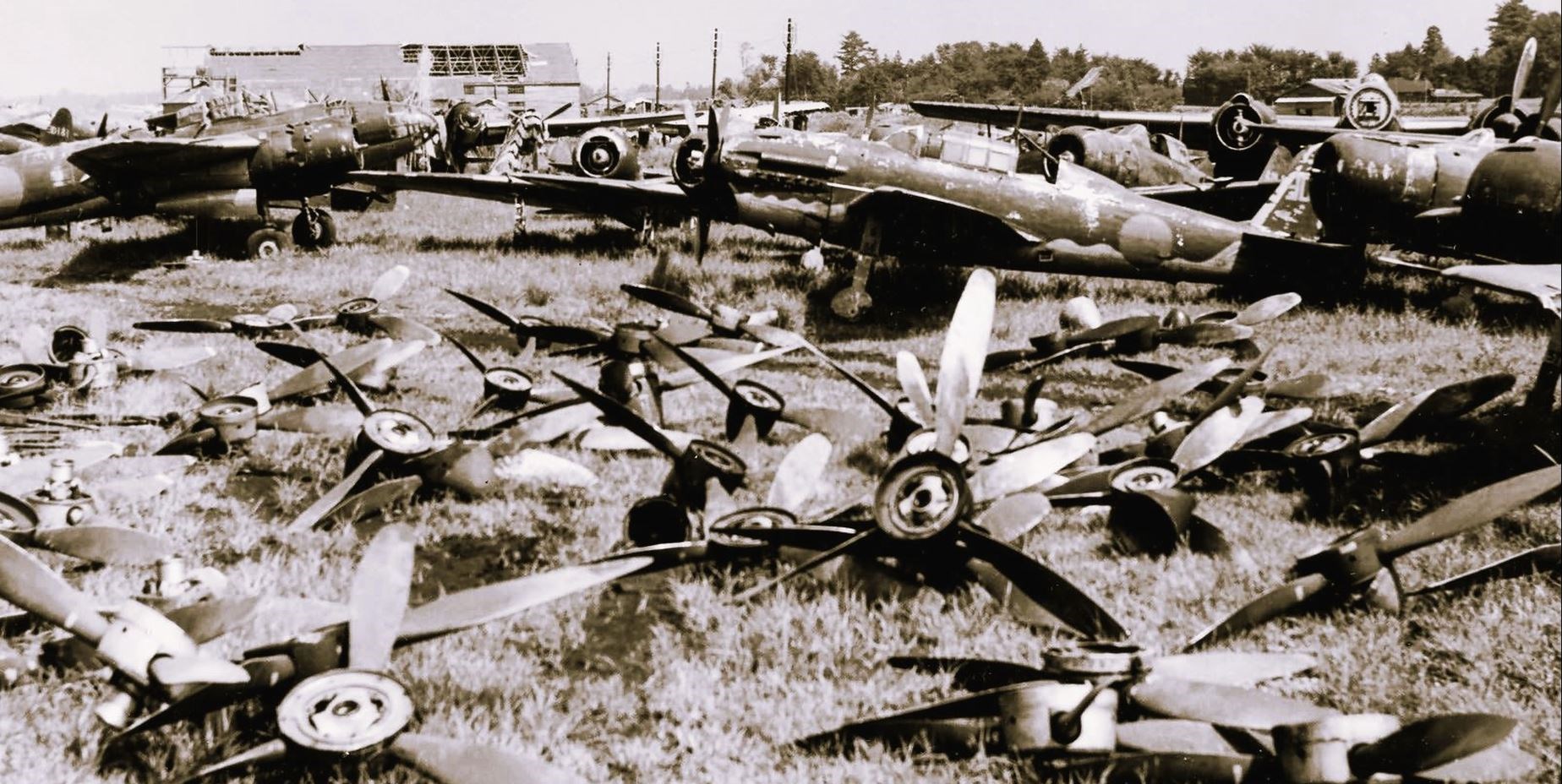 آخرین سرباز