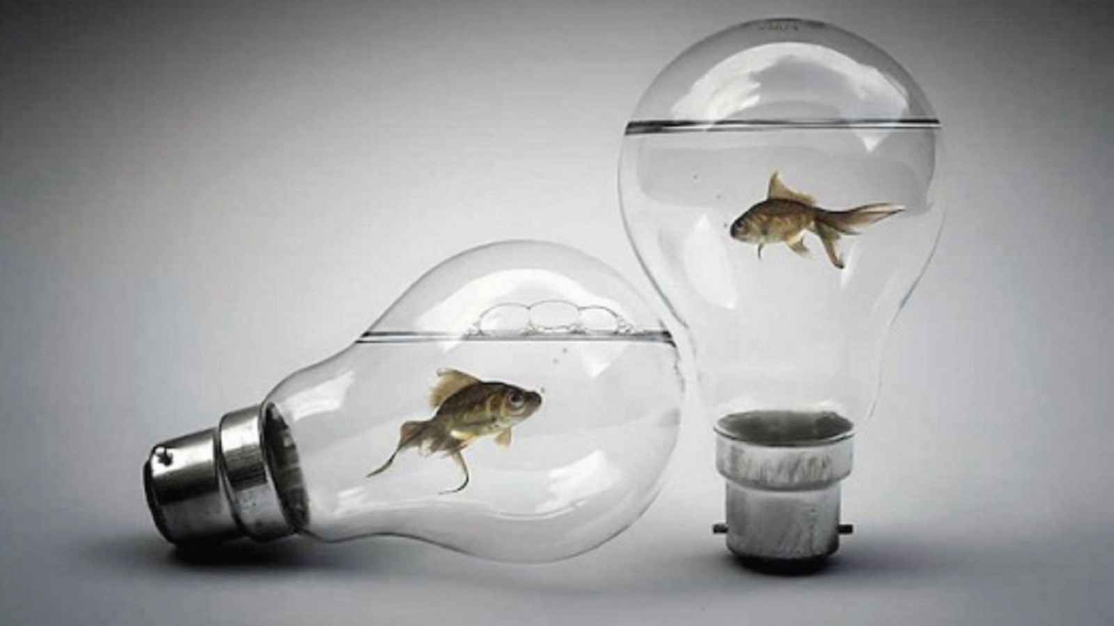 واقعا مردم بی‌سوادتر شده‌اند؟