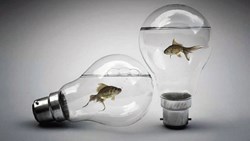 واقعا مردم بی‌سوادتر شده‌اند؟