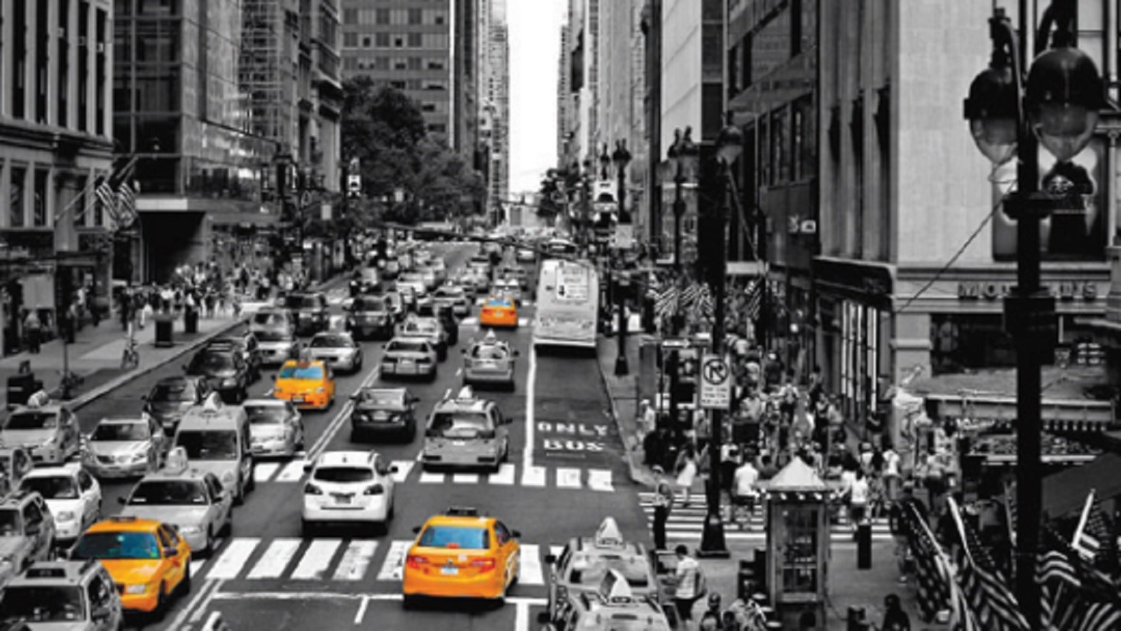 فیل، نیویورک و گوگل چه وجه اشتراکی دارند؟