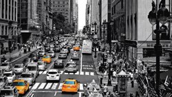 فیل، نیویورک و گوگل چه وجه اشتراکی دارند؟