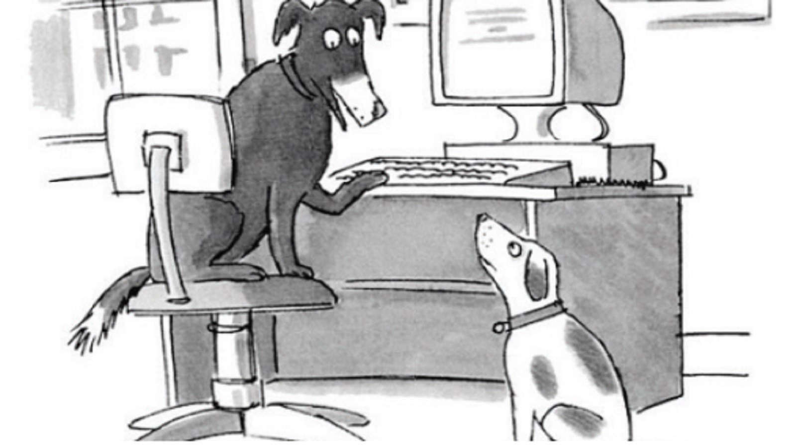 توی اینترنت، هیچ‌کس نمی‌فهمه تو سگ هستی