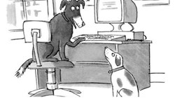 توی اینترنت، هیچ‌کس نمی‌فهمه تو سگ هستی