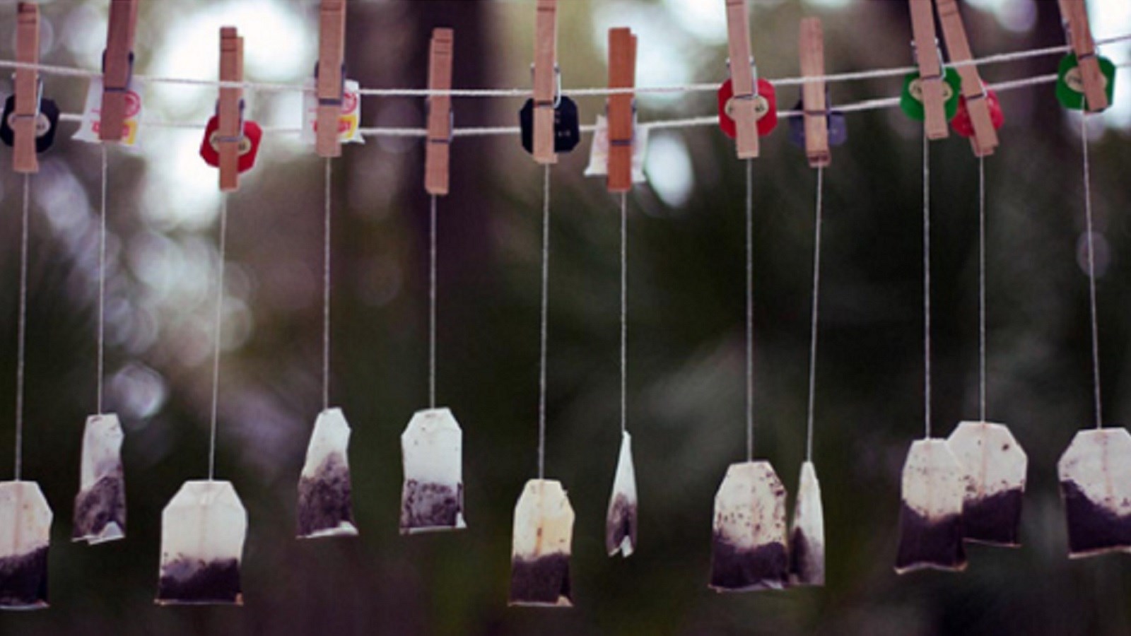 آیا زندگی بدون کشمکش ارزش زیستن دارد؟