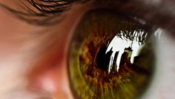 حقیقت برابر با واقعیت‌ها نیست