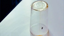 وقتی که دیگر نترسیدم