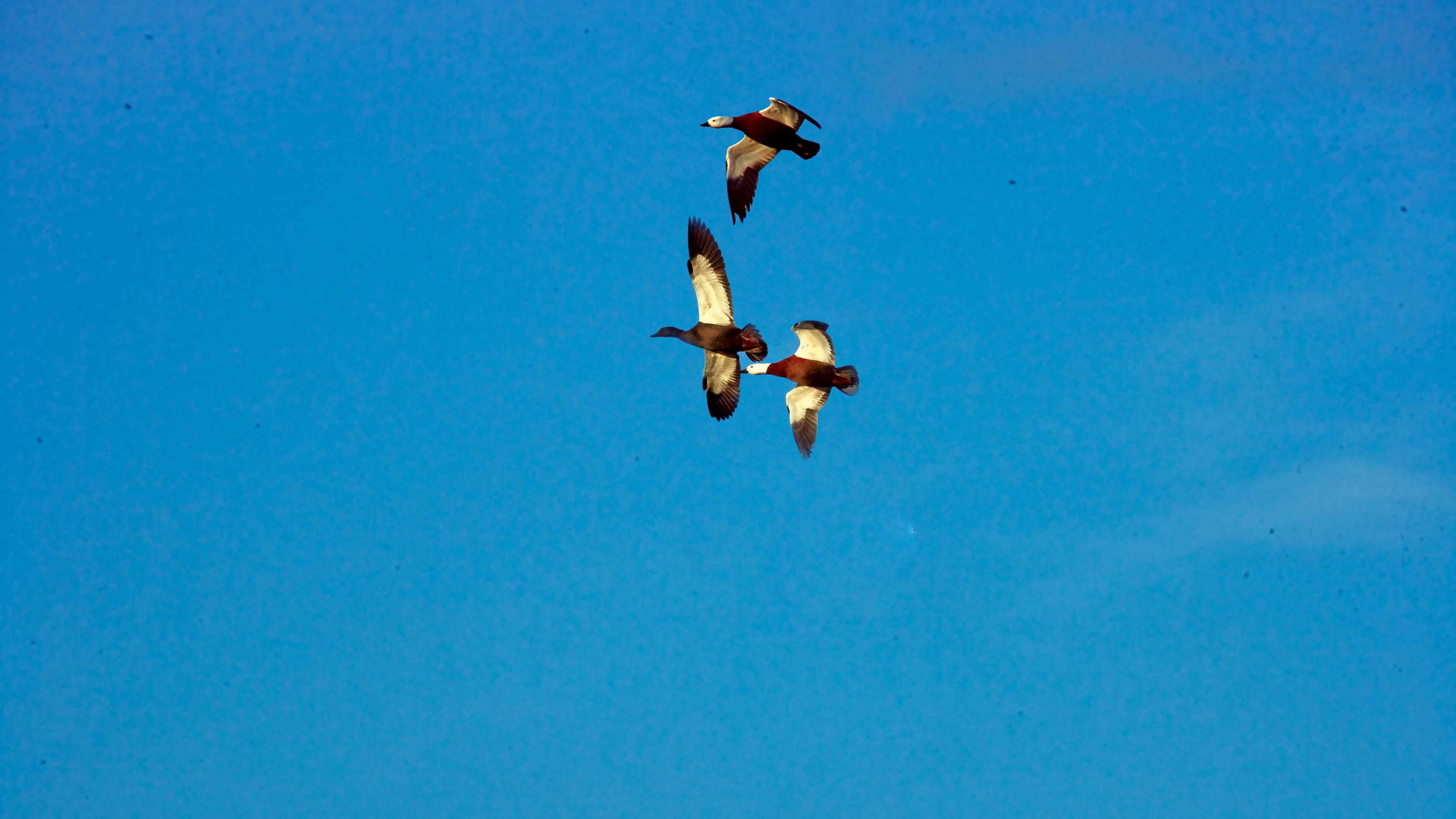 آیا برای مهاجرت آماده‌ایـد؟