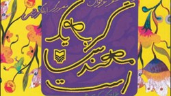 گربه یک مهندس است!