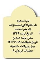 اطلاعات شهید