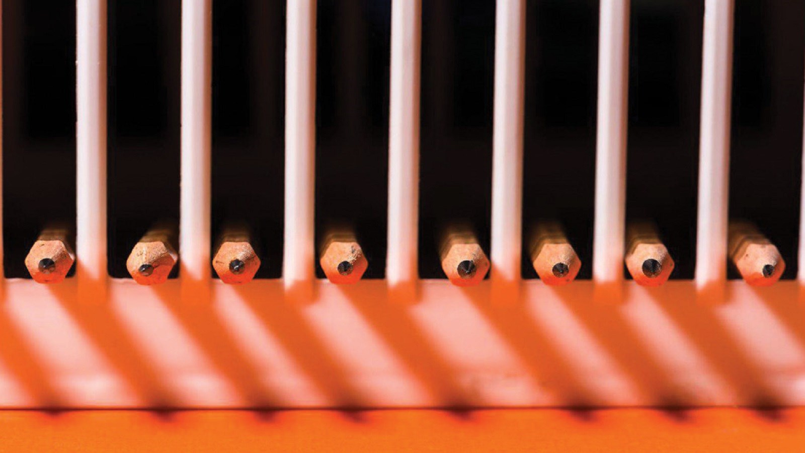 دو فهم ناسازگار از «آزادی بیان»