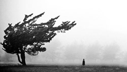 اصلا دوستی چی هست؟