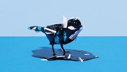 آیا این اَکانت خشمگین همان آدم محترم میز بغلی است؟