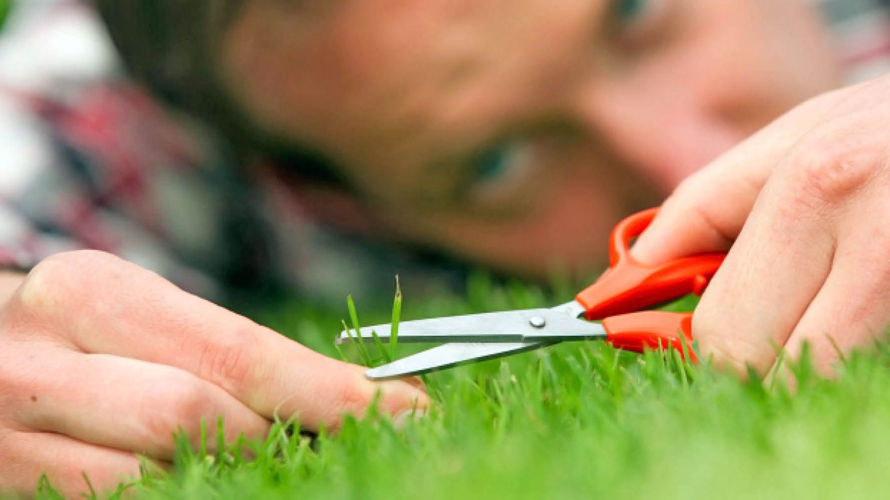 آیا کمالگرا هستید؟