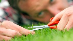 آیا کمالگرا هستید؟