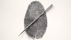 فقط همین‌قدر یادم میاد