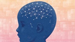 چرخۀ تولیدمثل که تغییر کرد، برگرداندن آن به حالت اول بسیار دشوار است