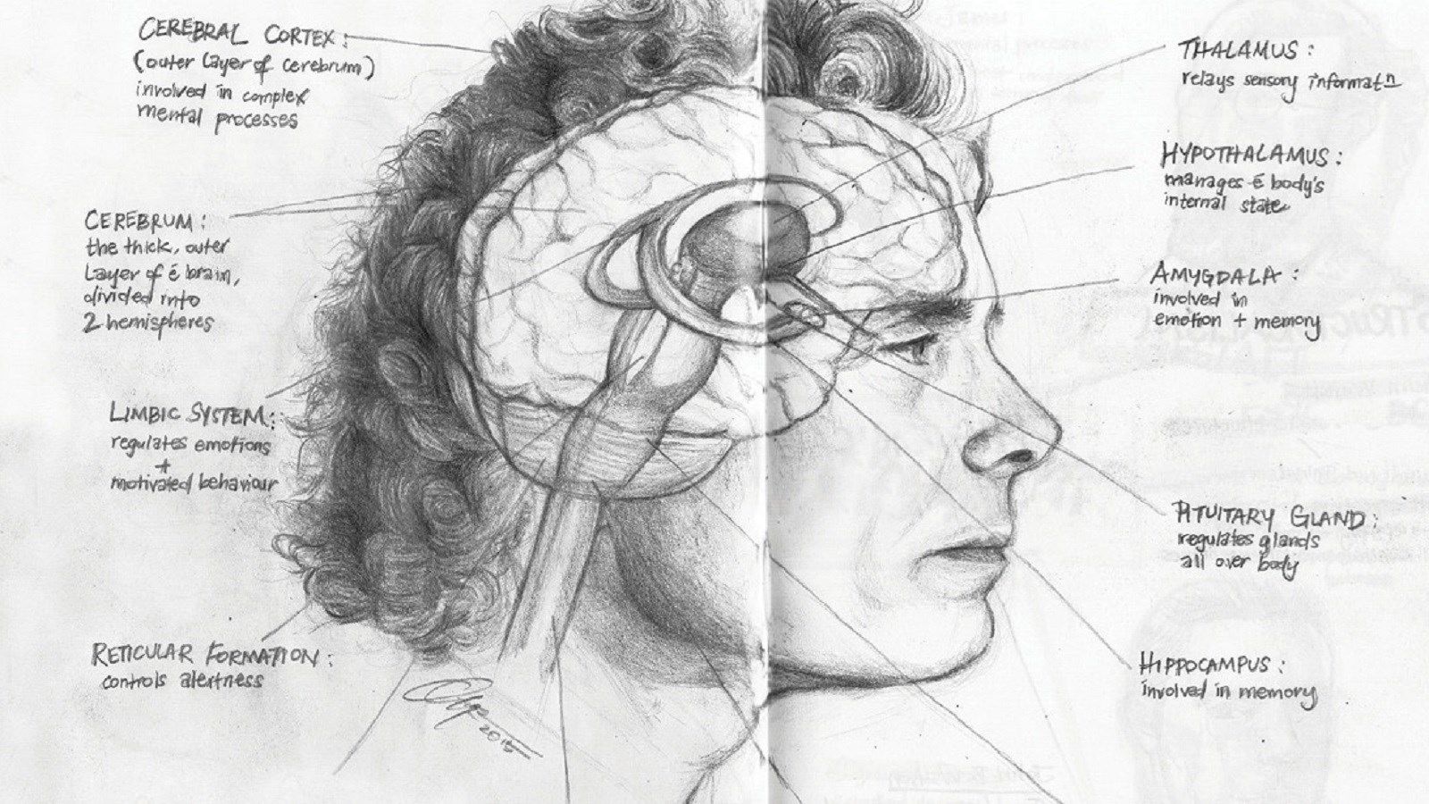 عقل صرفاً بردۀ احساسات است