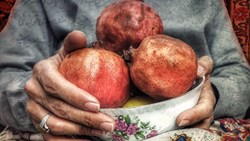 پدرم قصه‌گوست
