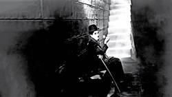 روشنایی‌های شهر