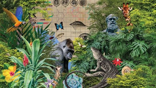 چه‌‌ کسی کلان‌‌روایت زیست‌‌شناسی را خواهد نوشت؟