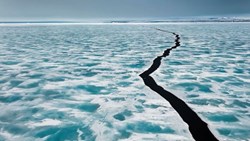 آنچه دیدم فاجعۀ مطلق بود