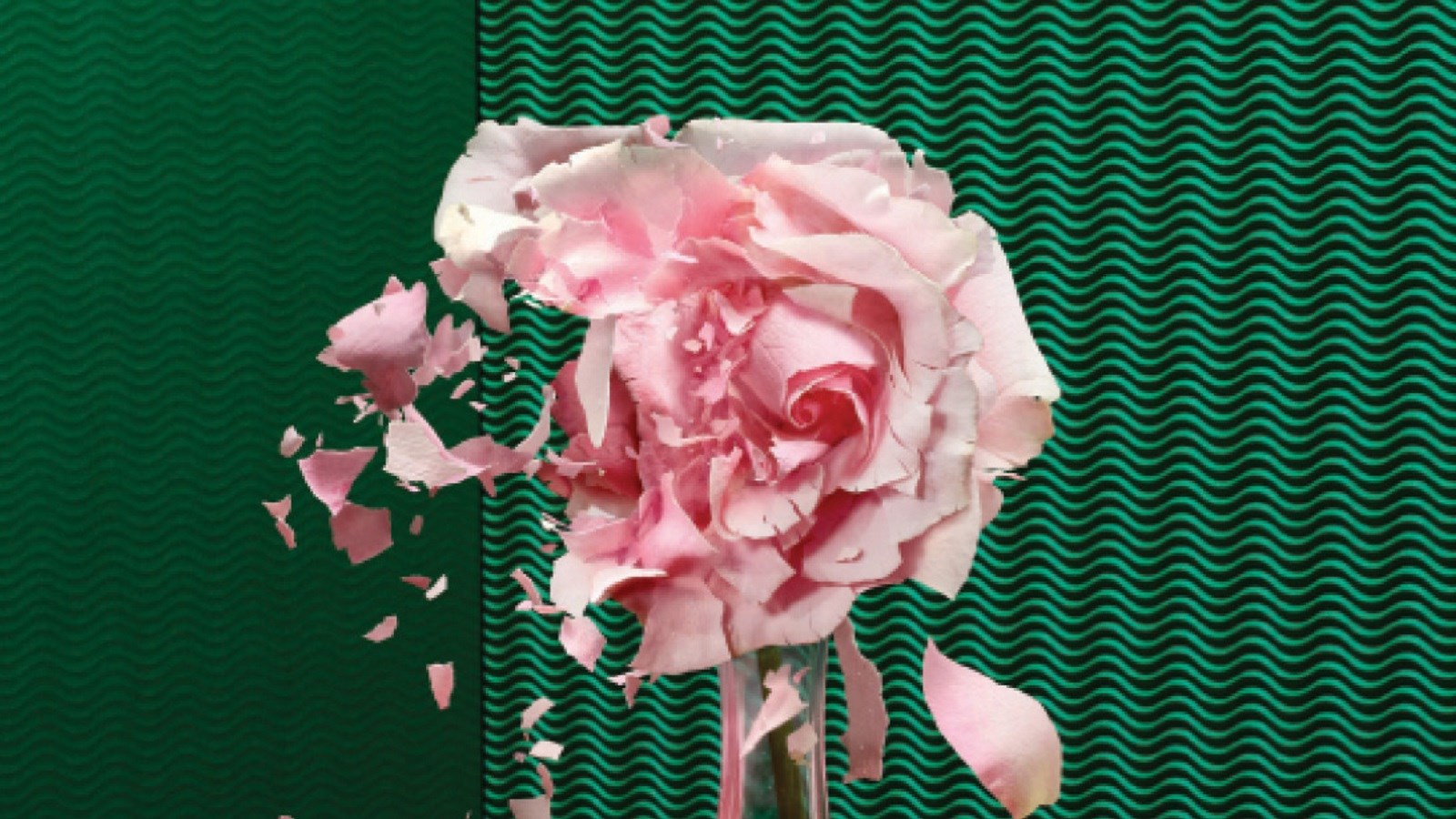 چرا ازدواج‌ها موفق می‌شوند یا شکست می‌خورند؟