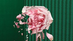 چرا ازدواج‌ها موفق می‌شوند یا شکست می‌خورند؟