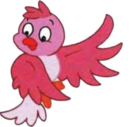 طاووس