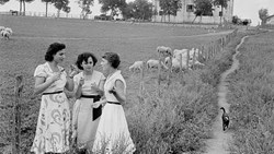 گفت‌وگو لذت بی‌پایان است‌