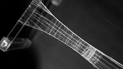 آغاز تاریخ بشر پوشاک بود، نه خط