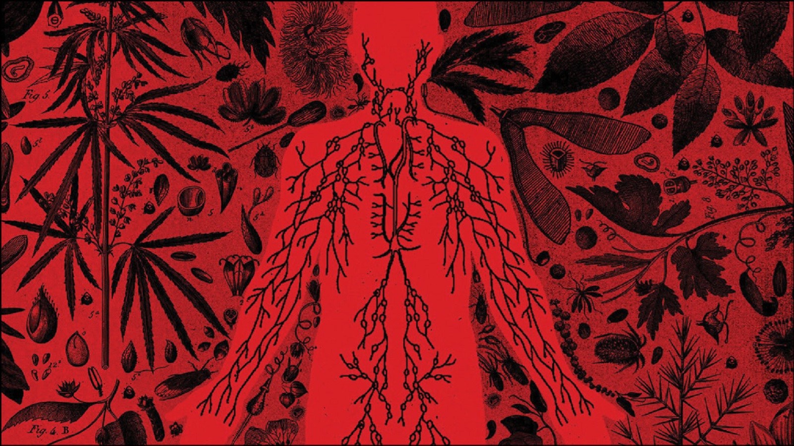 لطفاً کمی غیربهداشتی باشید