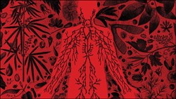 لطفاً کمی غیربهداشتی باشید