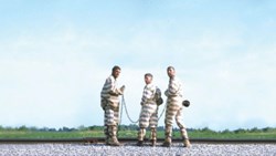 ای برادر کجایی؟