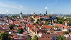 پیرمردی دیوانه که بذری در گلدان داشت