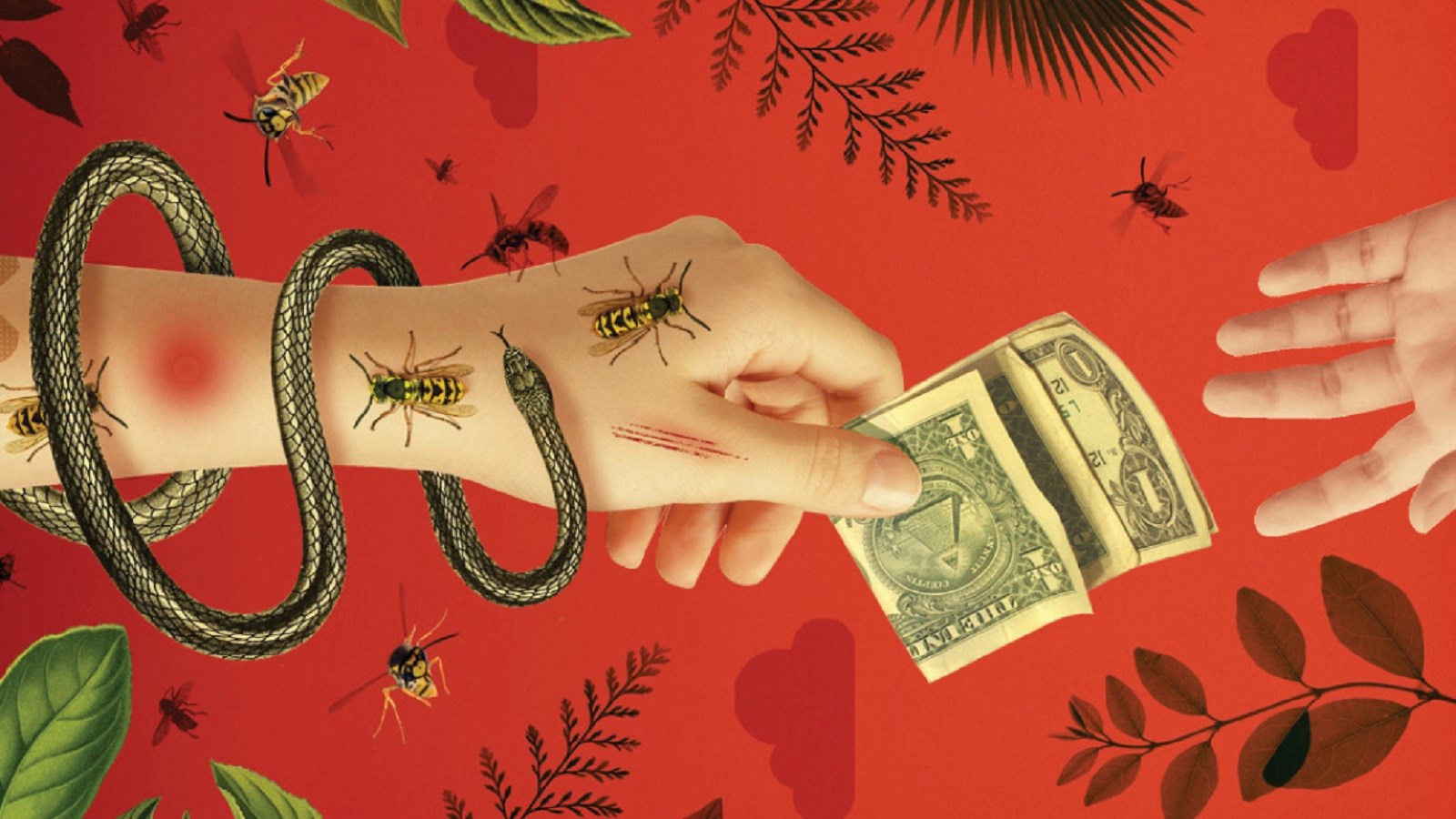 آیا نابرابری برای محیط‌زیست بد است؟