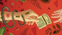 آیا نابرابری برای محیط‌زیست بد است؟