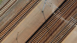 دیگر نمی‌توانم این جنون را تحمل کنم