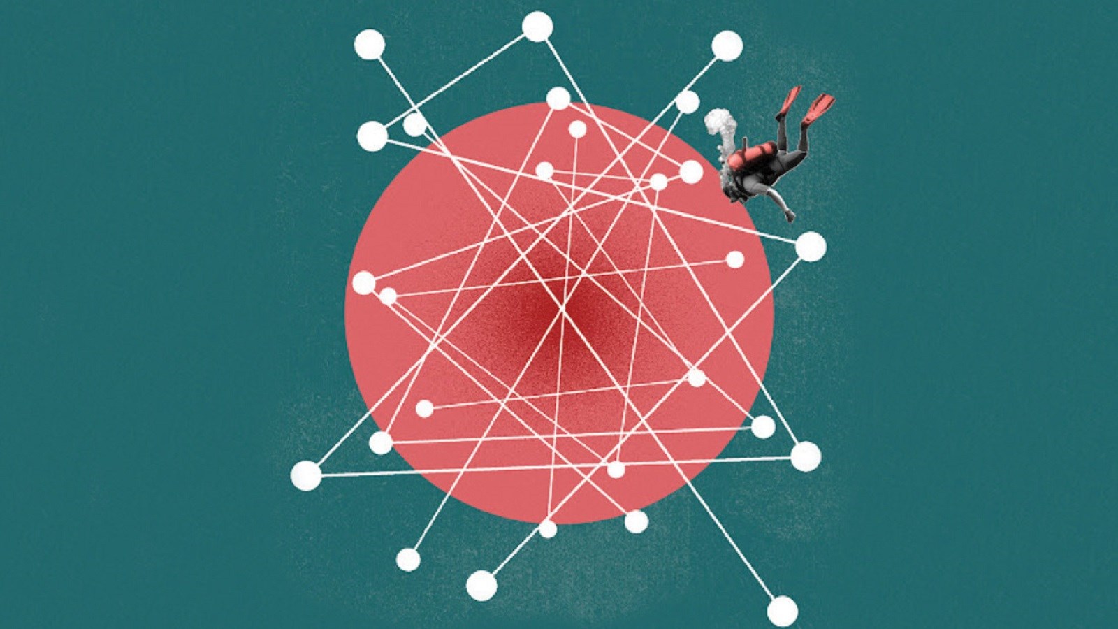 شما یک شبکه‌اید