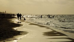 ماه و ساحل، دو دوست قدیمی