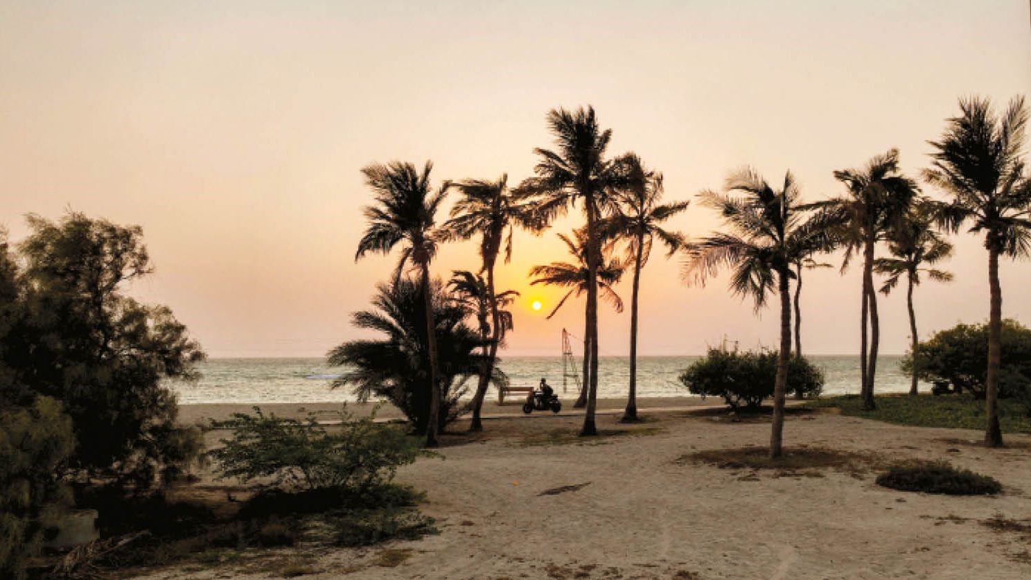 نارگیل‌خوری در ساحل