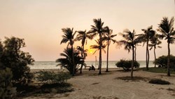 نارگیل‌خوری در ساحل