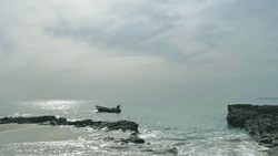 نقره‌فام مثل هنگام