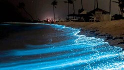 آب‌های ساحل مفنق شب‌ها غرق در نور است