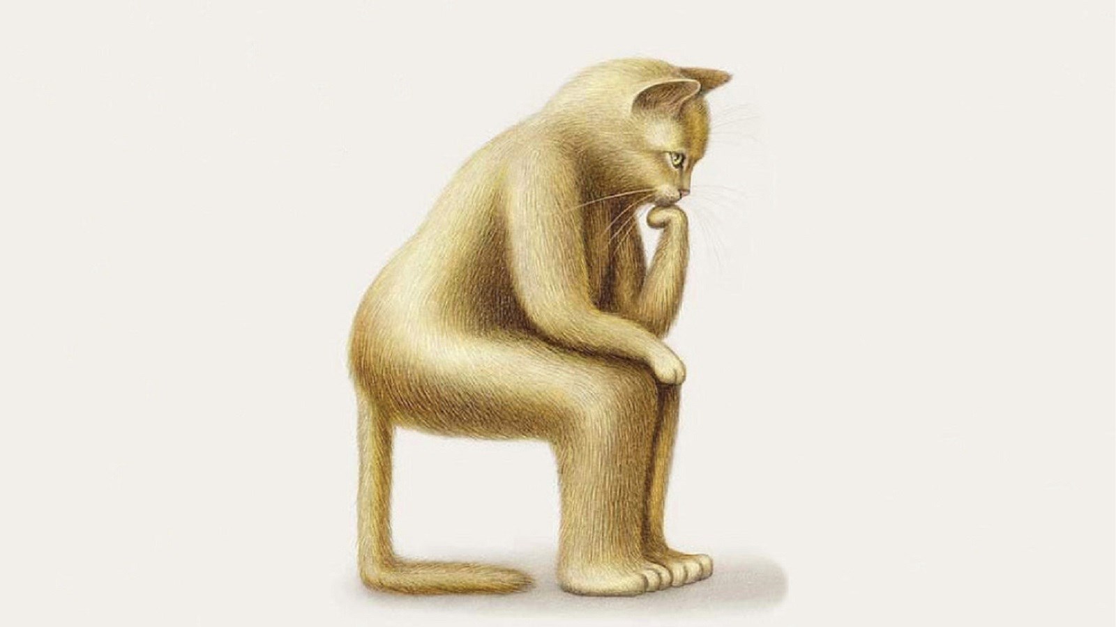 جان گری در آخرین کتاب خود سراغ فلسفه‌ورزی با گربه‌ها رفته است