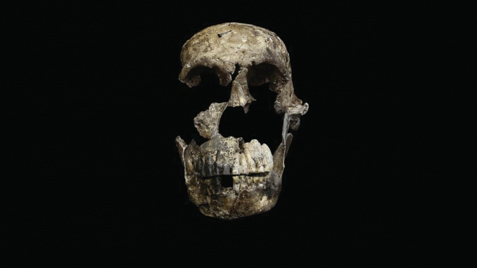 حقایقی دربارۀ گذشته‌های دور بشریت